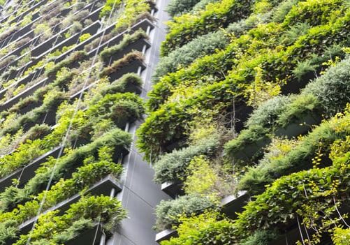 Green Roof Specialists
