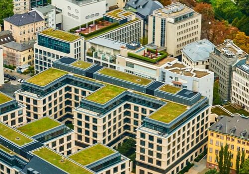Green Roof Specialists