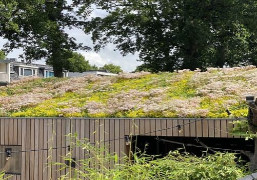 Green Roof Specialists